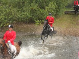 img_9817_web